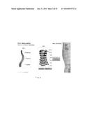 PALPATION EVALUATION OR DIAGNOSIS DEVICE, SYSTEM AND METHOD diagram and image