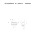 Steerable Cannula for Delivering Bone Filler diagram and image