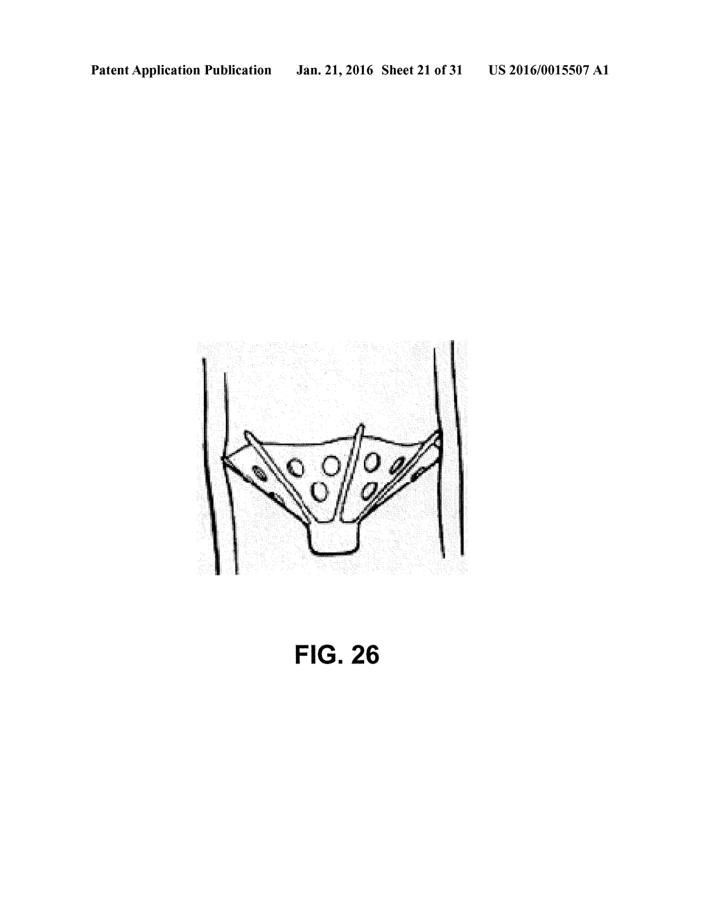 FILTERS WITH ECHOGENIC CHARACTERISTICS - diagram, schematic, and image 22