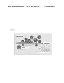 MIXTURE OF FATTY ACIDS FOR USE IN THE TREATMENT OF INFLAMMATORY     PATHOLOGIES diagram and image