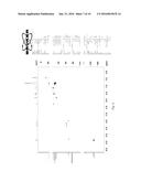 COMPOUND, 1-PALMITIN-2-LINOLEIN-3-OLEIN, AND PHARMACEUTICAL PREPARATION     AND USE THEREOF diagram and image