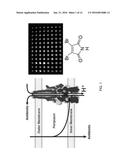 Methods and Compositions for Increasing Antibiotic Activity diagram and image