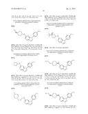 Triazolo[4,5-d]pyrimidine derivatives diagram and image