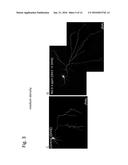 TRANSCRANIAL BURST ELECTROSTIMULATION APPARATUS AND ITS APPLICATIONS diagram and image