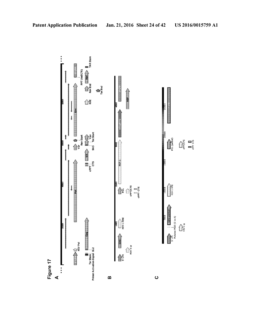 COMPOSITIONS AND METHODS FOR TREATING AN IMMUNODEFICIENCY VIRUS INFECTION - diagram, schematic, and image 25