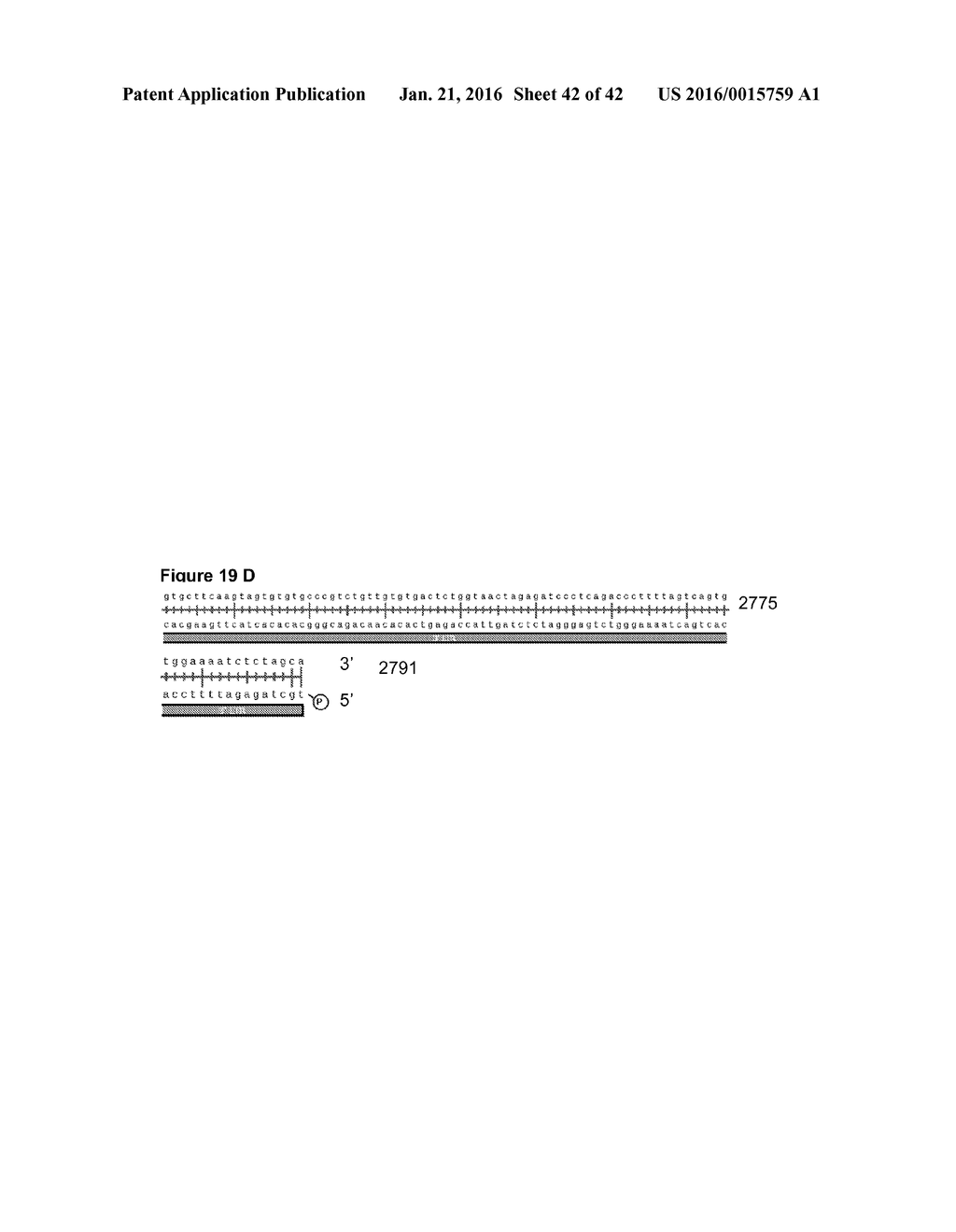 COMPOSITIONS AND METHODS FOR TREATING AN IMMUNODEFICIENCY VIRUS INFECTION - diagram, schematic, and image 43