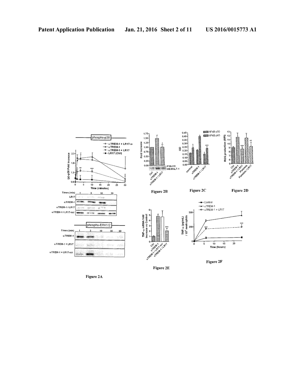 INHIBITING PEPTIDES DERIVED FROM TREM-LIKE TRANSCRIPT 1 (TLT-1) AND USES     THEREOF - diagram, schematic, and image 03