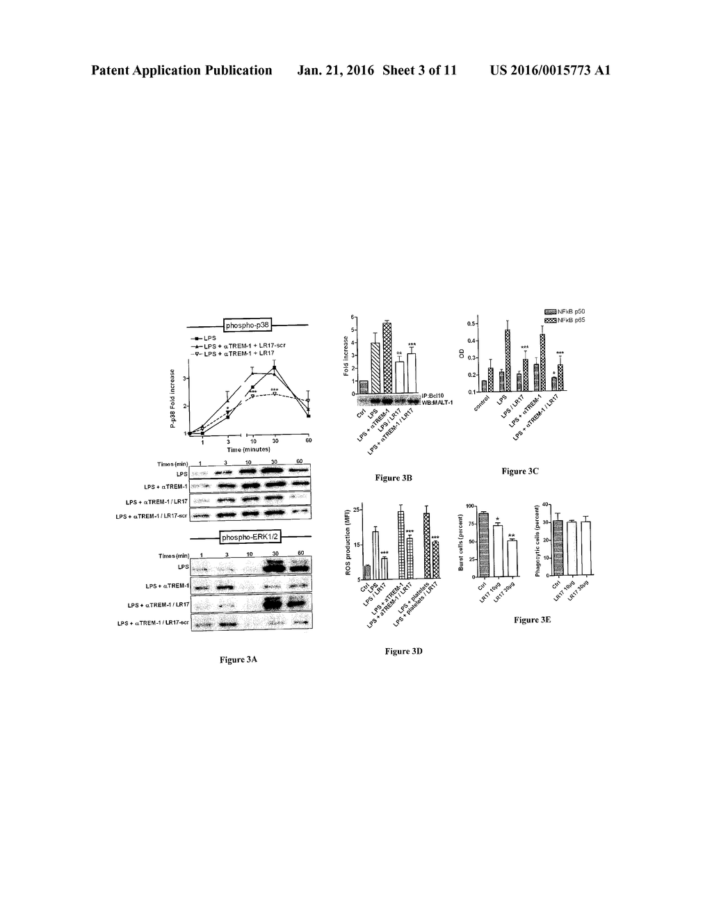 INHIBITING PEPTIDES DERIVED FROM TREM-LIKE TRANSCRIPT 1 (TLT-1) AND USES     THEREOF - diagram, schematic, and image 04