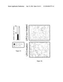 INHIBITING PEPTIDES DERIVED FROM TREM-LIKE TRANSCRIPT 1 (TLT-1) AND USES     THEREOF diagram and image