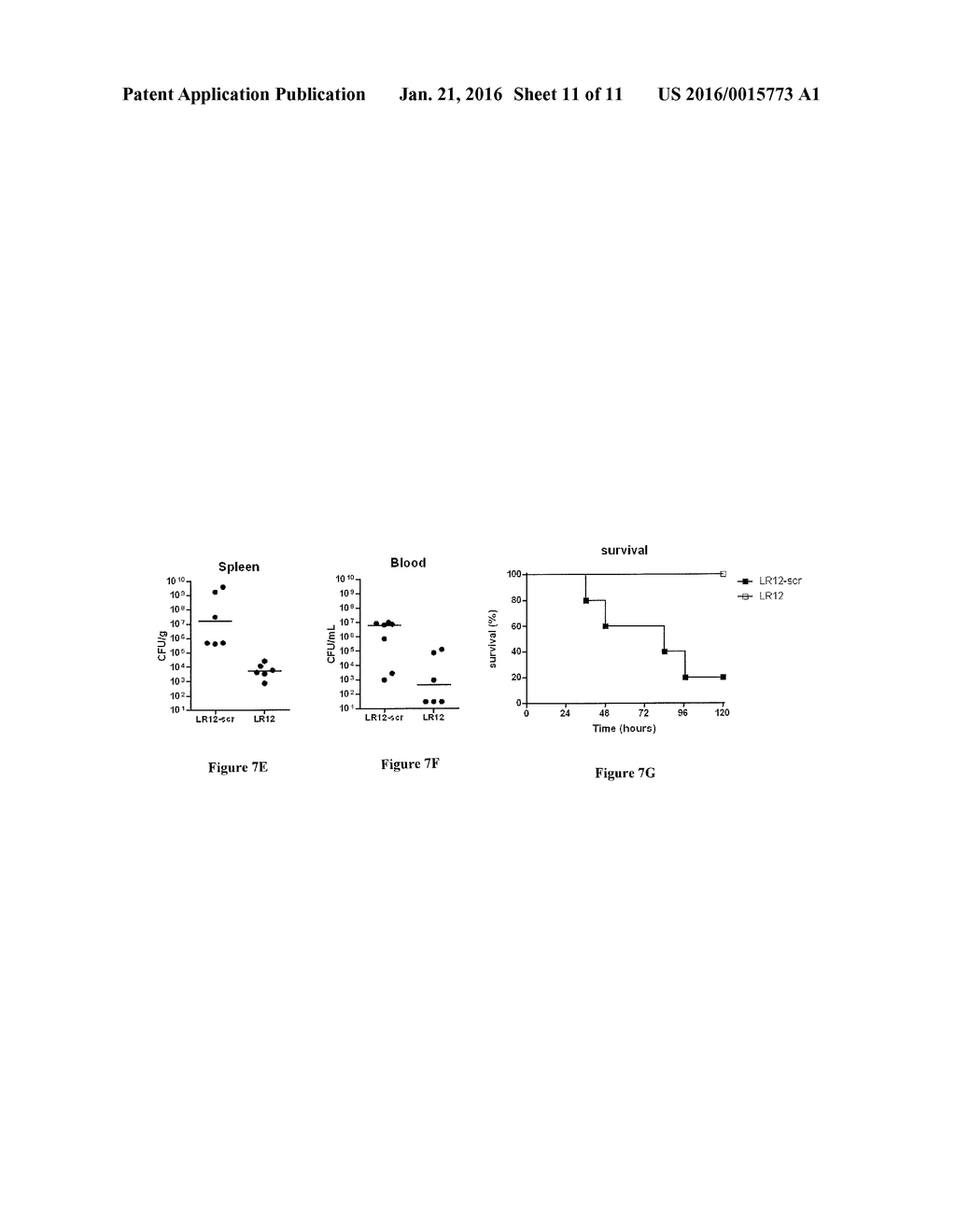 INHIBITING PEPTIDES DERIVED FROM TREM-LIKE TRANSCRIPT 1 (TLT-1) AND USES     THEREOF - diagram, schematic, and image 12