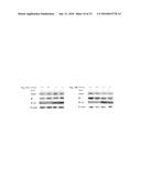 SorCS1-Like Agent for Use in the Treatment of Insulin Resistance and     Diseases Related Thereto diagram and image