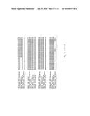 SorCS1-Like Agent for Use in the Treatment of Insulin Resistance and     Diseases Related Thereto diagram and image