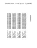 SorCS1-Like Agent for Use in the Treatment of Insulin Resistance and     Diseases Related Thereto diagram and image