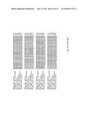 SorCS1-Like Agent for Use in the Treatment of Insulin Resistance and     Diseases Related Thereto diagram and image