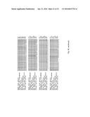 SorCS1-Like Agent for Use in the Treatment of Insulin Resistance and     Diseases Related Thereto diagram and image