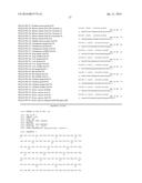 SorCS1-Like Agent for Use in the Treatment of Insulin Resistance and     Diseases Related Thereto diagram and image