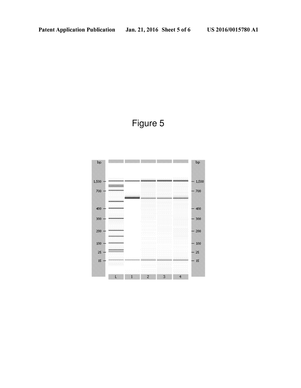 Therapeutic Modulation of Ocular Surface Lubrication - diagram, schematic, and image 06