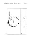 Recombinant Escherichia Coli Strains diagram and image