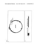 Recombinant Escherichia Coli Strains diagram and image