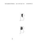 Recombinant Escherichia Coli Strains diagram and image