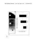 Recombinant Escherichia Coli Strains diagram and image