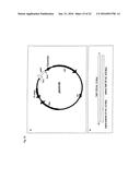 Recombinant Escherichia Coli Strains diagram and image