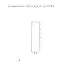 Recombinant Escherichia Coli Strains diagram and image