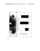 Recombinant Escherichia Coli Strains diagram and image