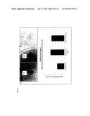 Recombinant Escherichia Coli Strains diagram and image