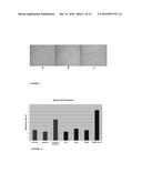 USE OF ANGIOGENIN OR ANGIOGENIN AGONISTS FOR TREATING DISEASES AND     DISORDERS diagram and image