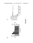 MODULATION OF FACTOR XA INHIBITOR MEDIATED BLOOD LOSS BY PARTIAL AND     TRANSIENT ADMINISTRATION OF ANTIDOTE diagram and image