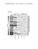 ATTENUATED CHLAMYDIA VACCINE diagram and image