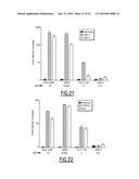 TAM RECEPTORS AS VIRUS ENTRY COFACTORS diagram and image