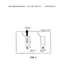 COMBINATION OF A LIGHT RAY WITH A CYTOCHROME C OXIDASE SUBSTRATE     PARTICULARLY FOR IMPROVING THE APPEARANCE OF THE SKIN AND/OR HAIR diagram and image