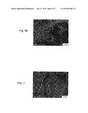 DRUG COATING LAYER diagram and image