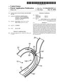 VASCULAR ACCESS SYSTEM AND METHOD OF USE diagram and image