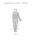 SYSTEM FOR DECREASING THE BLOOD FLOW OF A TARGETED ORGAN S ARTERY WITH AN     ELECTRICAL STIMULATION diagram and image