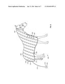 Medical and Veterinary Applications of Light to Antimicrobial and     Antineoplastic Chemicals diagram and image