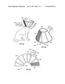 Medical and Veterinary Applications of Light to Antimicrobial and     Antineoplastic Chemicals diagram and image