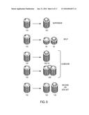 RFID SYSTEM FOR FACILITATING SELECTIONS AT A TABLE GAME APPARATUS diagram and image