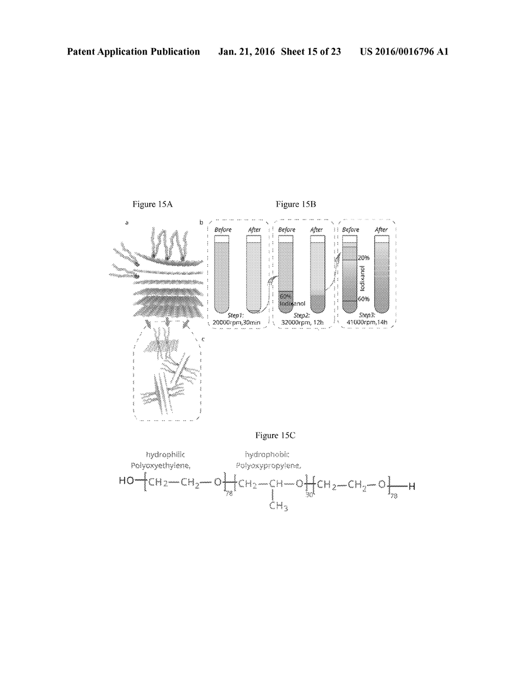 Sorting Two-Dimensional Nanomaterials by Thickness - diagram, schematic, and image 16