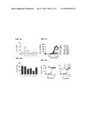 PROTECTIVE MOLECULES AGAINST ANTHRAX TOXIN diagram and image