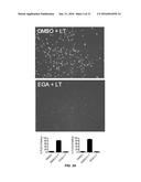 PROTECTIVE MOLECULES AGAINST ANTHRAX TOXIN diagram and image