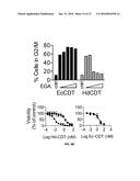 PROTECTIVE MOLECULES AGAINST ANTHRAX TOXIN diagram and image