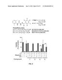 PROTECTIVE MOLECULES AGAINST ANTHRAX TOXIN diagram and image