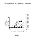 PROTECTIVE MOLECULES AGAINST ANTHRAX TOXIN diagram and image