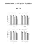 BENZOTHIAZOLE DERIVATIVES AND A USE THEREOF FOR THE TREATMENT OF CANCER diagram and image