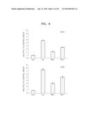 BENZOTHIAZOLE DERIVATIVES AND A USE THEREOF FOR THE TREATMENT OF CANCER diagram and image