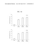 BENZOTHIAZOLE DERIVATIVES AND A USE THEREOF FOR THE TREATMENT OF CANCER diagram and image