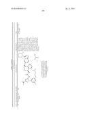 KINASE INHIBITORS diagram and image